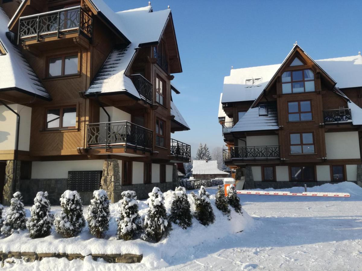 Apartament Przy Stoku - Polana Szymoszkowa Ski Resort Zakopane Kamer foto